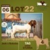 1 X BOER GOAT BUCK THABONG FARMS
