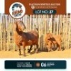 1+1 X KALAHARI RED DOE & KID KHUMO GENETICS