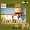 1+1 X BOER GOAT DOE & KID THABONG FARMS