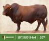 LOT&nbsp;3: GJG 180064