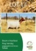 1 X BOER GOAT EWE TERRYMO FARMS
