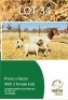 1+2 X BOER GOAT EWE & KID TERRYMO FARMS