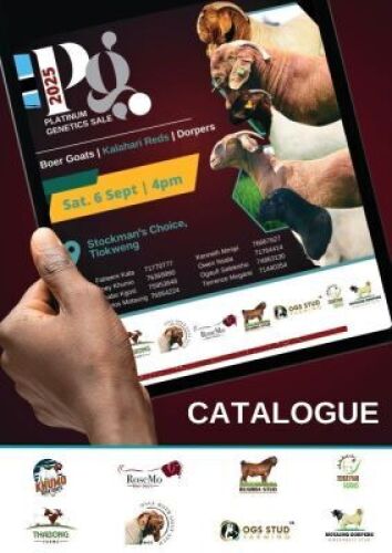 PRINTABLE CATALOGUE