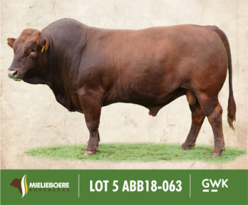 LOT&nbsp;5: ABB 180063