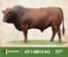 LOT&nbsp;5: ABB 180063