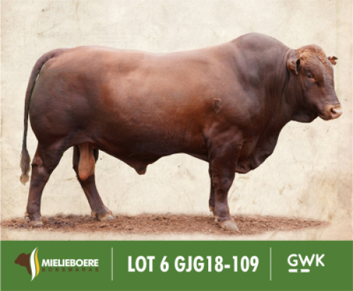 LOT&nbsp;6: GJG 180109