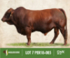LOT&nbsp;7: PER 180085 - 2