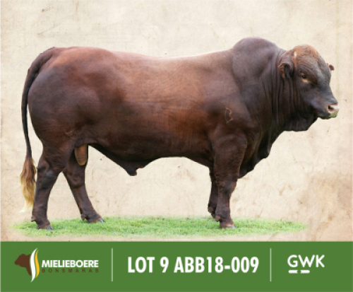 LOT&nbsp;9: ABB 180009