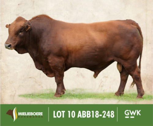 LOT&nbsp;10: ABB 180248