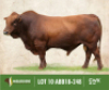 LOT&nbsp;10: ABB 180248