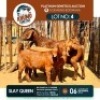 1+2 X KALAHARI RED DOE & KID KHUMO GENETICS
