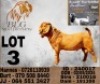1 X KALAHARI RED FLOCK BUCK BLG Stud Breeders