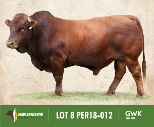 LOT&nbsp;8: PER 180012