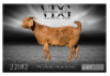 1 X KALAHARI RED FLOCK PREGNANT DOE Vandergoat Stud
