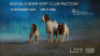 1+2 X BOER GOAT FLOCK DOE Welgelee Boer Goat Stud