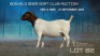 WITHDRAWN - 1 X BOER GOAT DOE Welgelee Boer Goat Stud