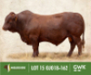 LOT 15: GJG 180162 SP - 2