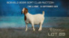 1 X BOER GOAT FLOCK PREGNANT DOE Welgelee Boer Goat Stud