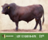 LOT&nbsp;12: GJG 180078