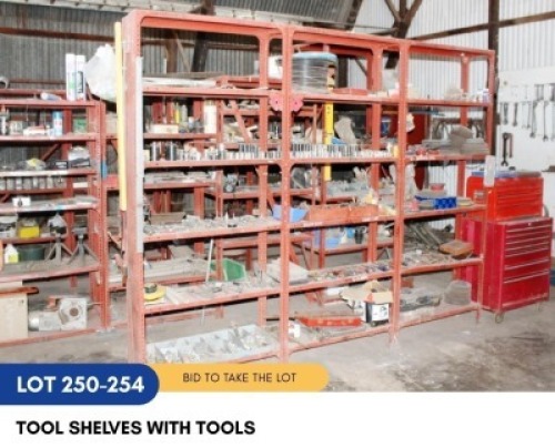 1 X TOOL SHELVES WITH TOOLS SARINE CONSTRUCTION