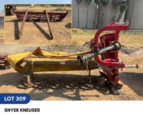 1 X SNYER KNEUSER LOUW BEEFMASTERS (LOUCA BOERDERY)