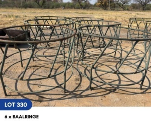 1 X 6 X BAALRINGE LOUW BEEFMASTERS (LOUCA BOERDERY)
