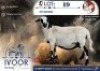 1 X MEATMASTER PREGNANT EWE Ochre Meatmasters