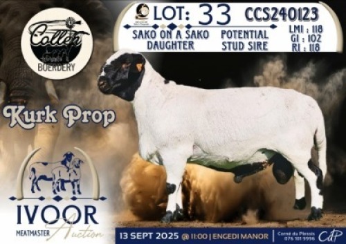 1 X MEATMASTER RAM Collen Boerdery