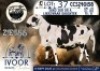 1 X MEATMASTER RAM Collen Boerdery