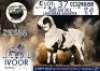 1 X MEATMASTER RAM Collen Boerdery - 2