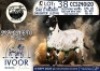 1 X MEATMASTER RAM Collen Boerdery - 2