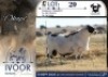1 X MEATMASTER RAM Xandorr Meatmasters
