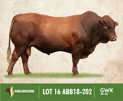 LOT 16: ABB 180202