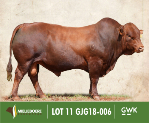 LOT&nbsp;11: GJG 180006