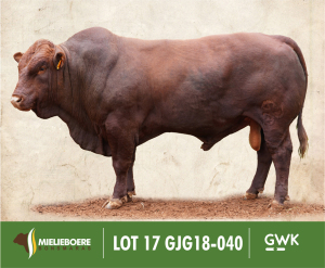 LOT 17: GJG 180040