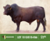 LOT 18: GJG 180066 - 2