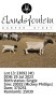 1+1 X DORPER T3 EWE Elandsfontein Dorper Stoet