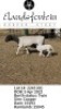 1+1 X DORPER T3 EWE Elandsfontein Dorper Stoet