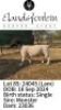 1 X DORPER T5 RAM Elandsfontein Dorper Stoet