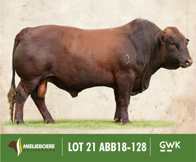 LOT 21: ABB 180128