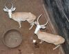 2 X WHITE FLANK IMPALA RAM (Per Piece to take the lot)