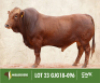 LOT 23: GJG 180096