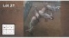 5X BLOUWILDEBEES V/F:5 (Per Piece to take the lot/Per stuk om lot te neem)