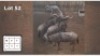 4X BLOUWILDEBEES M:4 (Per Piece to take the lot/Per stuk om lot te neem)