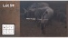 4X BLOUWILDEBEES V/F:4 (Per Piece to take the lot/Per stuk om lot te neem)