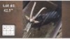 1X SWARTWITPENS M:1
