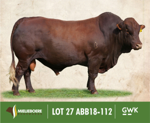 LOT 27: ABB 180112