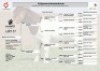 1 X BOER GOAT FLOCK BUCK Lajanco Boerbokstoet - 2