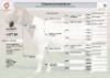 1 X BOER GOAT FLOCK DOE Lajanco Boerbokstoet - 2