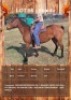 1 X SHAIDA HORSE MARE HP SWART